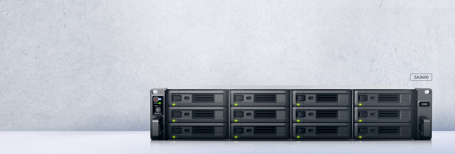 Synology SA3600